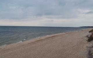 Grzybowo wschód - 04-04-2026 05:54