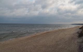 Grzybowo wschód - 04-04-2026 06:40