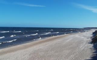 Grzybowo wschód - 04-04-2026 08:41