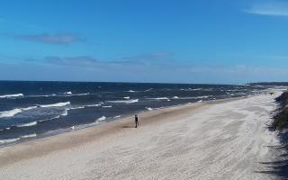 Grzybowo wschód - 04-04-2026 09:27