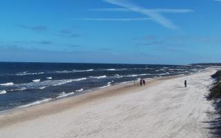 Grzybowo wschód - 04-04-2026 09:42