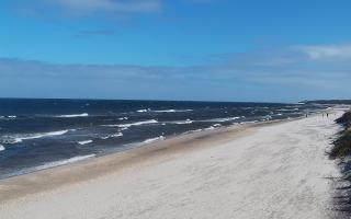 Grzybowo wschód - 04-04-2026 09:57