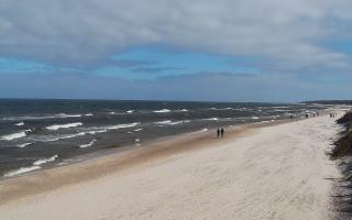 Grzybowo wschód - 04-04-2026 10:05