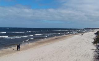 Grzybowo wschód - 04-04-2026 10:12