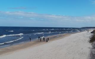 Grzybowo wschód - 04-04-2026 10:20