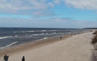 Grzybowo wschód - 04-04-2026 10:27