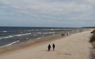 Grzybowo wschód - 04-04-2026 10:35