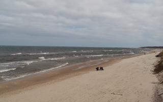 Grzybowo wschód - 04-04-2026 10:42