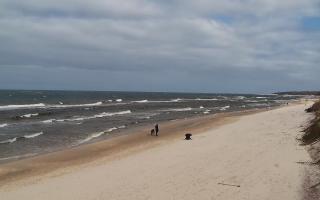 Grzybowo wschód - 04-04-2026 10:50