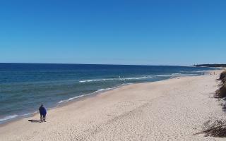 Grzybowo wschód - 28-04-2026 09:05