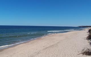 Grzybowo wschód - 28-04-2026 09:12