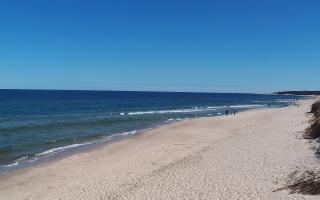 Grzybowo wschód - 28-04-2026 09:20