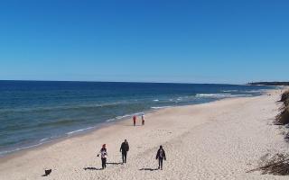 Grzybowo wschód - 28-04-2026 09:27