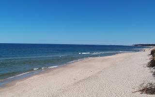 Grzybowo wschód - 28-04-2026 09:42