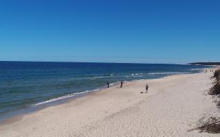 Grzybowo wschód - 28-04-2026 09:58