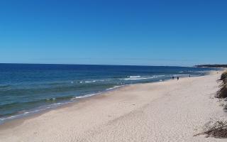 Grzybowo wschód - 28-04-2026 10:13