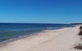 Grzybowo wschód - 28-04-2026 10:20