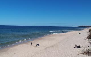 Grzybowo wschód - 28-04-2026 10:46