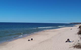 Grzybowo wschód - 28-04-2026 10:54