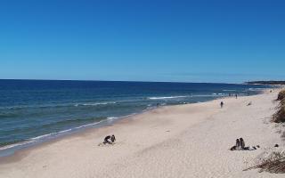 Grzybowo wschód - 28-04-2026 11:01