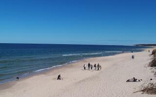 Grzybowo wschód - 28-04-2026 11:09