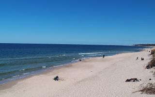 Grzybowo wschód - 28-04-2026 11:24