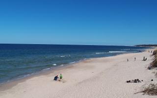 Grzybowo wschód - 28-04-2026 11:32