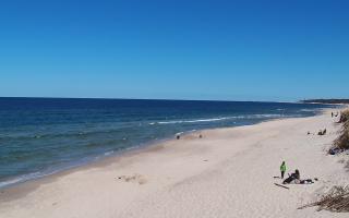 Grzybowo wschód - 28-04-2026 11:39