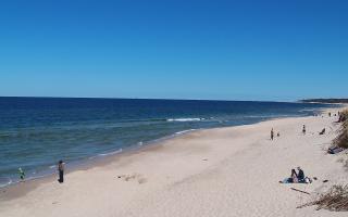 Grzybowo wschód - 28-04-2026 11:47