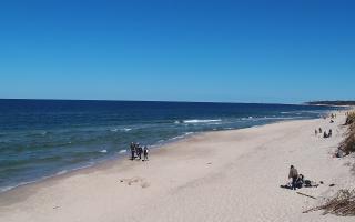 Grzybowo wschód - 28-04-2026 12:02