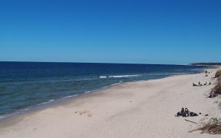 Grzybowo wschód - 28-04-2026 12:10