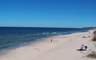 Grzybowo wschód - 28-04-2026 12:25