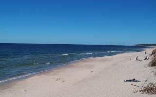 Grzybowo wschód - 28-04-2026 12:32