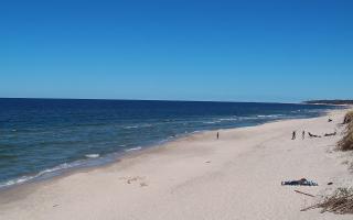 Grzybowo wschód - 28-04-2026 12:40