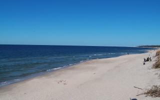 Grzybowo wschód - 28-04-2026 13:33