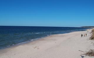 Grzybowo wschód - 28-04-2026 13:48