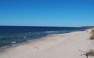 Grzybowo wschód - 28-04-2026 14:03