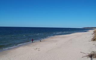 Grzybowo wschód - 28-04-2026 14:11