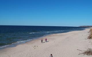 Grzybowo wschód - 28-04-2026 14:41