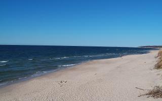 Grzybowo wschód - 28-04-2026 14:56