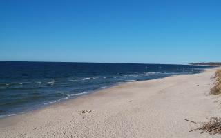 Grzybowo wschód - 28-04-2026 15:04