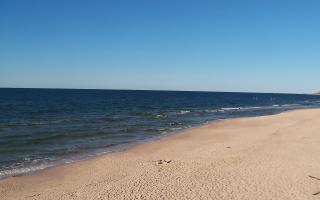 Grzybowo wschód - 28-04-2026 15:29