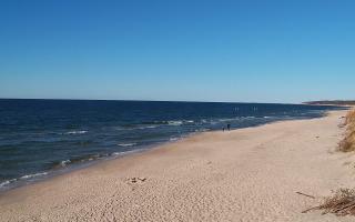 Grzybowo wschód - 28-04-2026 15:37