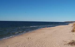 Grzybowo wschód - 28-04-2026 15:44