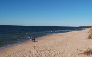 Grzybowo wschód - 28-04-2026 15:52