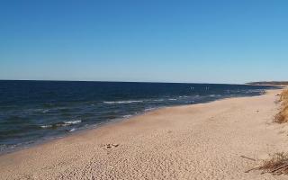 Grzybowo wschód - 28-04-2026 16:00