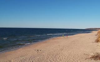 Grzybowo wschód - 28-04-2026 16:15