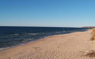 Grzybowo wschód - 28-04-2026 16:30