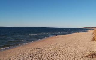 Grzybowo wschód - 28-04-2026 16:38