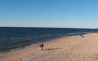 Grzybowo wschód - 28-04-2026 16:48